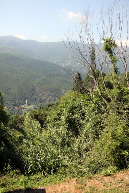 2010 07 14 jeanmarcperfetti.com 004.JPG